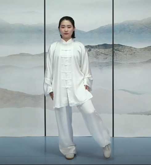 Zhang Sanfeng Tai Chi complete version 1-24 HD video course video