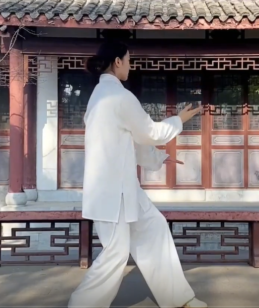 Yang Style Tai Chi Complete Solution Lesson 1-9 English Version