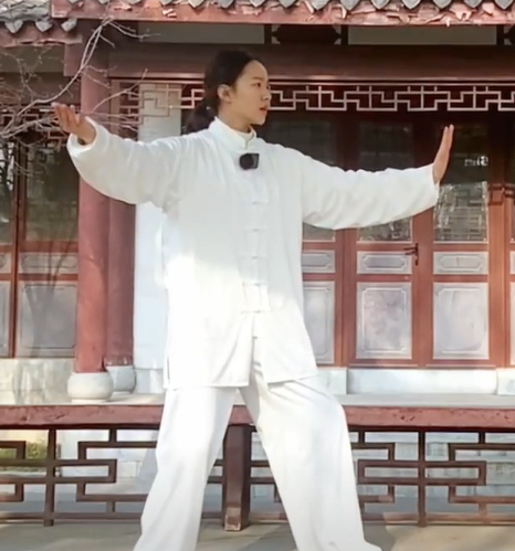 Chen Style Tai Chi Complete Edition 1-9 HD Video with English Explanation