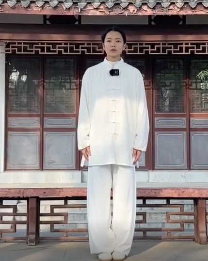 Chen Style Tai Chi Complete Edition 1-9 HD Video with English Explanation