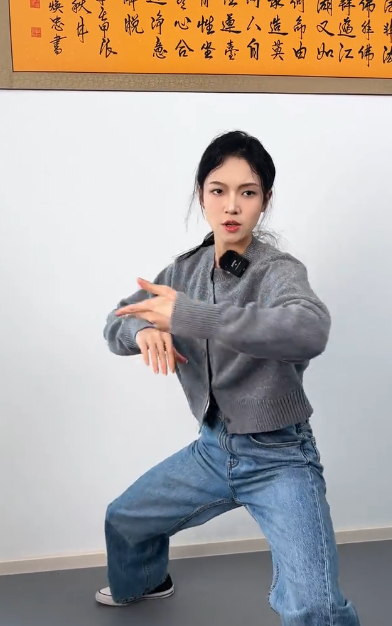 Tai Chi Six Combinations and Eight Methods Secrets 1-14 English Video Course