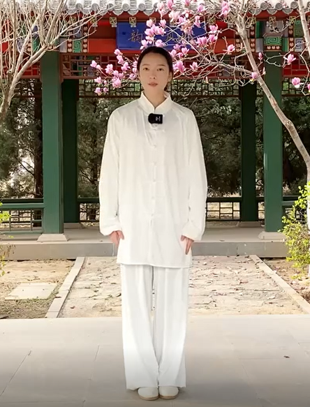 Tai Chi Six Combinations and Eight Methods Secrets 1-14 English Video Course